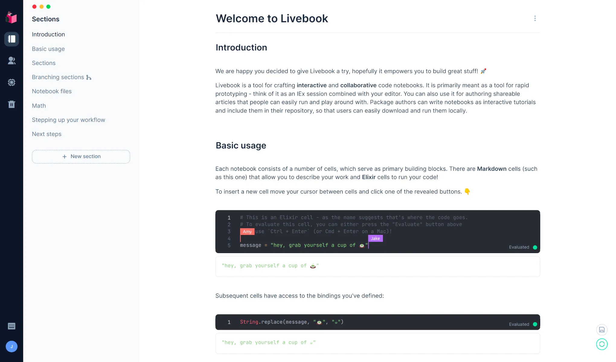 Livebook Screenshot